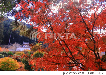 Izushi Castle Ruins, Corner Tower West (Izushi-cho, Toyooka City, Hyogo Prefecture) Autumn foliage in the grounds Izushi Castle Ruins, Corner Tower West (Izushi-cho, Toyooka City, Hyogo Prefecture) Autumn foliage in the grounds 130856417