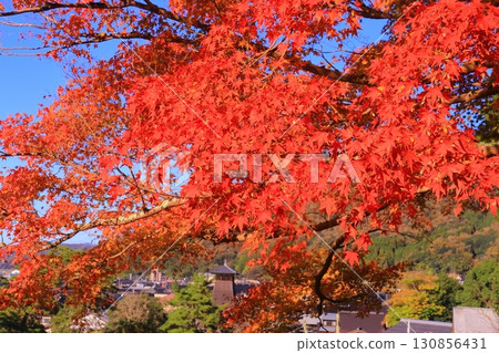 出石城跡（兵庫縣豐岡市出石町）從二之丸眺望出石町 130856431