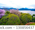 恩賜箱根公園湖畔小徑上盛開的櫻花，以及蘆之湖對岸的富士山 130856437