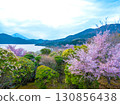 恩賜箱根公園弁天花展望台的櫻花盛開，蘆之湖對岸的富士山清晰可見 130856438