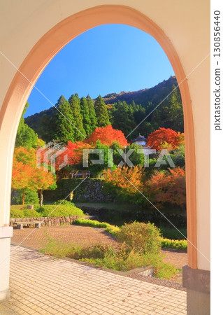 出石城跡的紅葉(兵庫縣豐岡市出石町) 出石城跡的紅葉(兵庫縣豐岡市出石町) 130856440