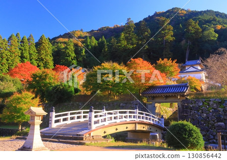 出石城跡的紅葉（兵庫縣豐岡市出石町） 130856442
