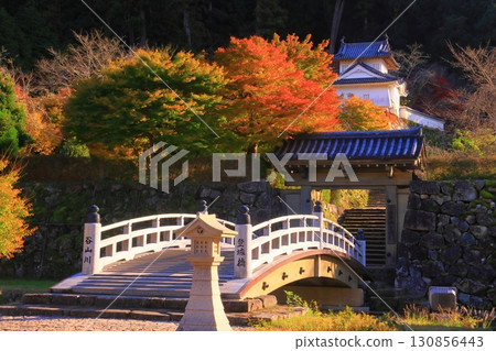 出石城跡的紅葉（兵庫縣豐岡市出石町） 130856443