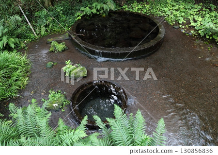 靜岡縣清水町柿田川泉公園第二展望台泉 130856836