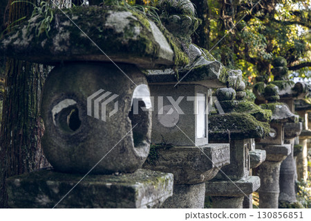 Ancient moss covered stone lanterns in Nara Park Japan showing weathered texture in forest calm 130856851