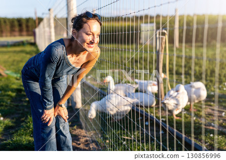 Portrait young adult happy smiling woman wear jeans denim jumpsuit enjoy having fun countryside farm animal geese flock warm sunset light. Female person rural country village farmyard bird poultry 130856996