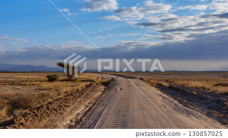 一條穿過安博塞利大草原的道路 130857025