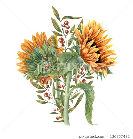 Bouquet of sunflowers decorated abstract plant with red berries and green leaves watercolor illustration on isolated background. Yellow orange flowers and evergreen cotoneaster. Field wildflowers Bouquet of sunflowers decorated abstract plant with red berries and green leaves watercolor illustration on isolated background. Yellow orange flowers and evergreen cotoneaster. Field wildflowers 130857481