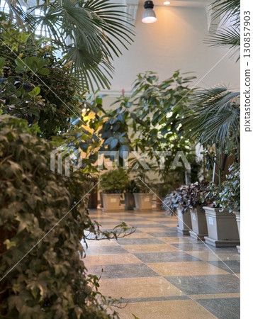 Indoor plant conservatory with lush greenery and natural light, creating a serene background 130857903