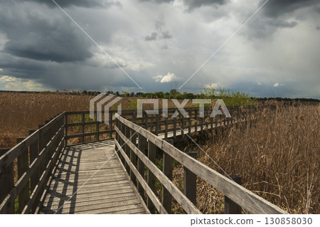 Paths along Narew National Park. Cloudy day. Paths along Narew National Park. Cloudy day. 130858030