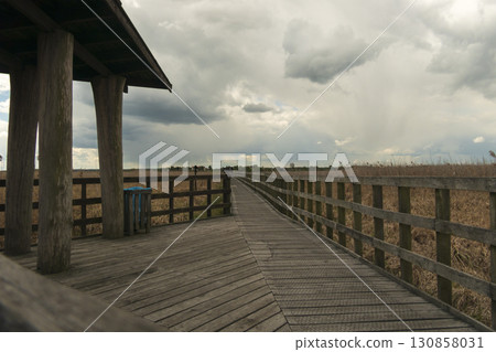 Paths along Narew National Park. Cloudy day. Paths along Narew National Park. Cloudy day. 130858031