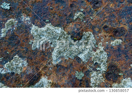 Close-up of weathered rusty metal surface with lichen growth Close-up of weathered rusty metal surface with lichen growth 130858057