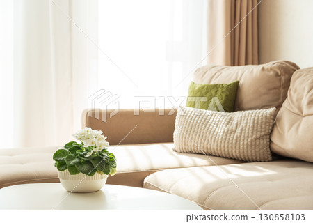 Cozy Living Room Corner with Sofa, Coffee Table and African Violet 130858103