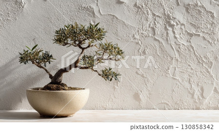 Minimalist bonsai tree in a ceramic pot 130858342