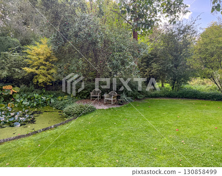 Enlgish green garden with multpiple type of trees and plants 130858499