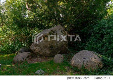 Large boulders and rocks covered with moss lie on the green grass, surrounded by dense vegetation and bushes. These rocks create a feeling of natural and organic composition, as if they had always bee 130859324