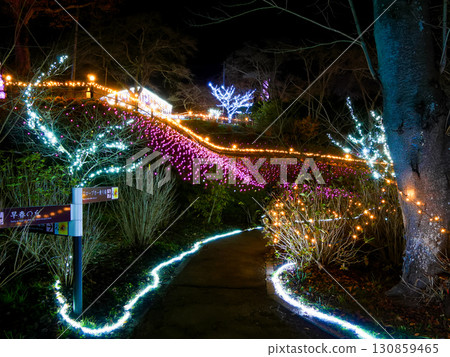 Shibata Fantasy Illumination (Funaoka Castle Ruins Park) [Shibata Town, Shibata District, Miyagi Prefecture] 130859465