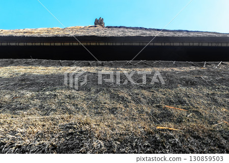 Background surface of straw roof in front of the blue sky 130859503