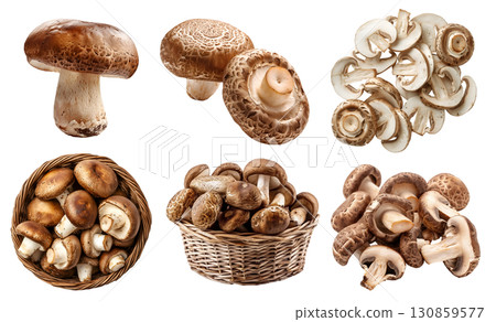 Shiitake shittake mushroom fungus fungi vegetable, many angles and view side top front basket slice isolated on transparent cutout, PNG file. Mockup template 130859577