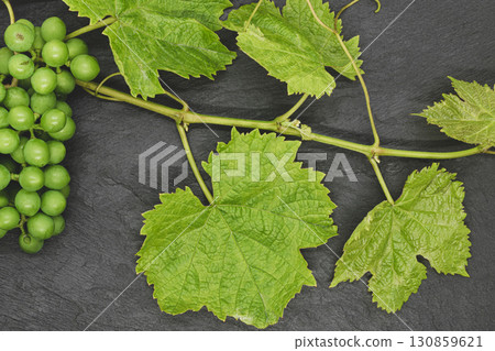 Grape twig on black stone background Grape twig on black stone background 130859621