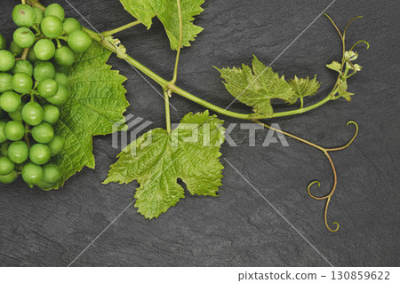 Grape twig on black stone background Grape twig on black stone background 130859622