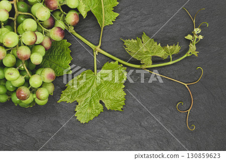 Grape twig on black stone background Grape twig on black stone background 130859623