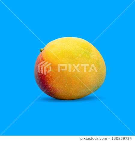 Yellow mango fruit on blue background Yellow mango fruit on blue background 130859724