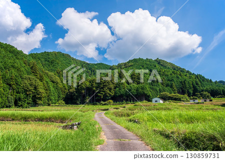 Rural summer scenery and nostalgic scenery (Sakamoto district, Kameyama city, Mie prefecture) 130859731