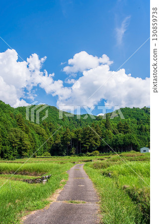 Rural summer scenery and nostalgic scenery (Sakamoto district, Kameyama city, Mie prefecture) Rural summer scenery and nostalgic scenery (Sakamoto district, Kameyama city, Mie prefecture) 130859738