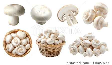 White champignon button Agaricus bisporus mushroom fungus fungi vegetable, many angles and view side top front basket slice isolated on transparent cutout, PNG file. Mockup template for artwork design 130859743