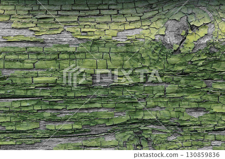 Background of Old Colored and Shattered Green Paint on Old Gray Wood Background of Old Colored and Shattered Green Paint on Old Gray Wood 130859836