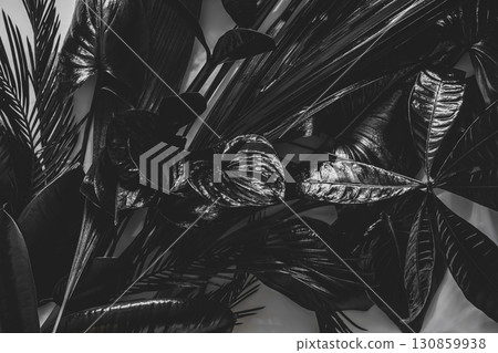 Black painted tropical leaves background 130859938