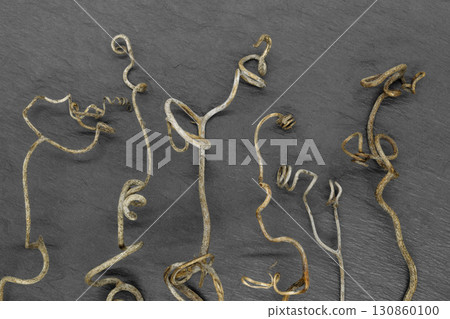 Abstract background of dry grape curled tendrils 130860100