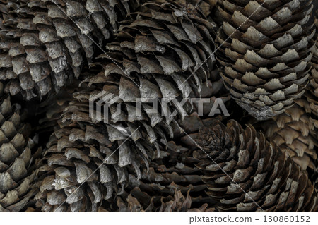 Fir Cones Brown and Sharp Macro Background Surface 130860152