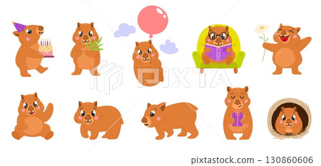 Cute wombat. Cartoon wombats different poses. Funny wild animals with birthday cake and present, flower, reading book, classy vector clipart 130860606