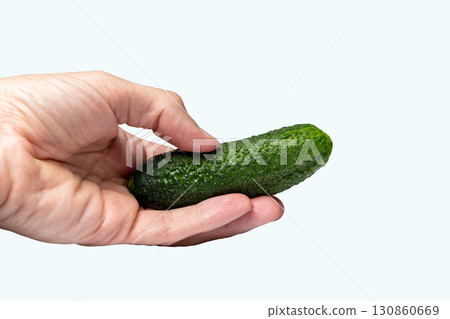 Hand holding fresh green cucumber on white background Hand holding fresh green cucumber on white background 130860669