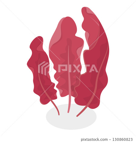 3D Isometric Flat Vector Set of Seaweeds, Marine Algae Collection. A set of various types of seaweed gathered from the ocean, perfect for showcasing the beauty of underwater flora.. Item 8 130860823
