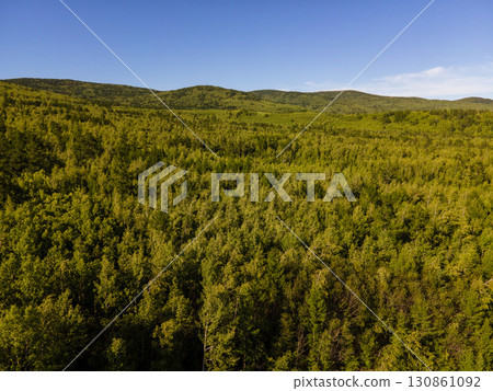 Expansive green forests of Vladivostok showcase nature's beauty 130861092