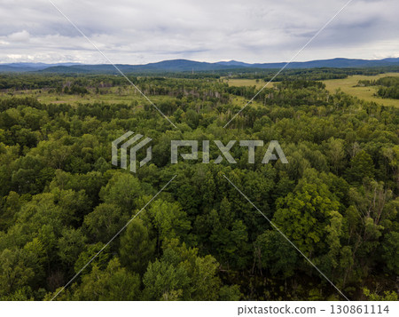 Vast green forests of Vladivostok with mountains in the background Vast green forests of Vladivostok with mountains in the background 130861114