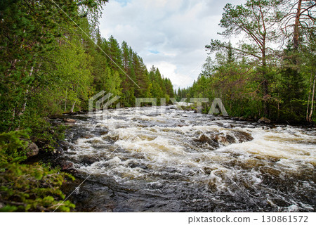 A fast flowing river with rapids passing through a lush green forest under a cloudy sky 130861572