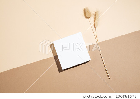 White podium or box with shadow on diagonally divided yellow and brown background with dry flowers. 130861575