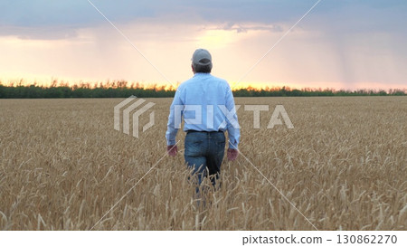 agriculture, wheat field, golden wheat farm field sunset, farmer walking through wheat field sunset with hands up, happy farmer business, successful farmer businessman concept, running successful 130862270