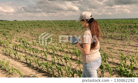 agriculture, farmer working corn field digital tablet, Modern woman on cornfield, Digitally organizing farm tasks, Advancing with technology, Cloud overhead, tech below, Young farmer uses tablet agriculture, farmer working corn field digital tablet, Modern woman on cornfield, Digitally organizing farm tasks, Advancing with technology, Cloud overhead, tech below, Young farmer uses tablet 130862292