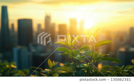 Eco 130862381