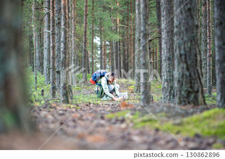 Woman collecting mushrooms into basket on clearing in pine forest during quiet woodland alone 130862896