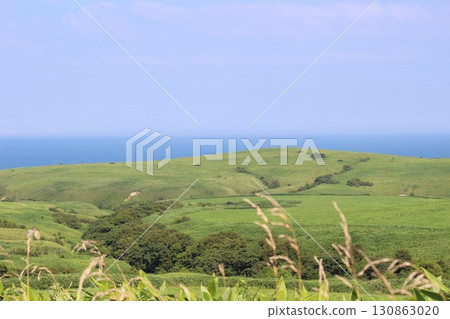 夏日里,草山和藍色大海的壯麗景色 夏日里,草山和藍色大海的壯麗景色 130863020