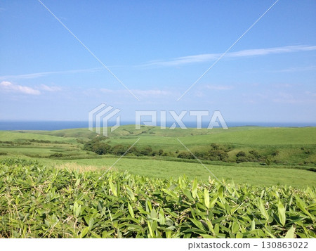 A hilly landscape with grassland and blue sky and the horizon 130863022