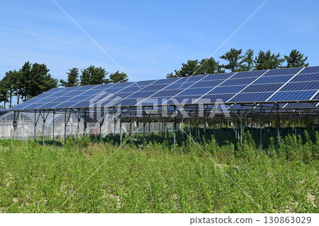 太陽能電池板自然能源 太陽能電池板自然能源 130863029