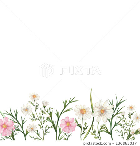 Watercolor template of wildflowers and butterflies with space for text. Chamomile, apple tree, cameo, clover. Composition of delicate flowers of white, pink and green. Isolated. Wedding, wallpapers. Watercolor template of wildflowers and butterflies with space for text. Chamomile, apple tree, cameo, clover. Composition of delicate flowers of white, pink and green. Isolated. Wedding, wallpapers. 130863037