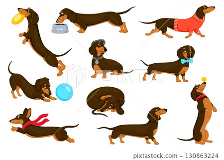 Cartoon dachshund dog puppy characters activities and fun. Vector doggy personage playing outdoors with a ball and flying plate, wearing clothes and accessories, curling up, walking or eating food Cartoon dachshund dog puppy characters activities and fun. Vector doggy personage playing outdoors with a ball and flying plate, wearing clothes and accessories, curling up, walking or eating food 130863224